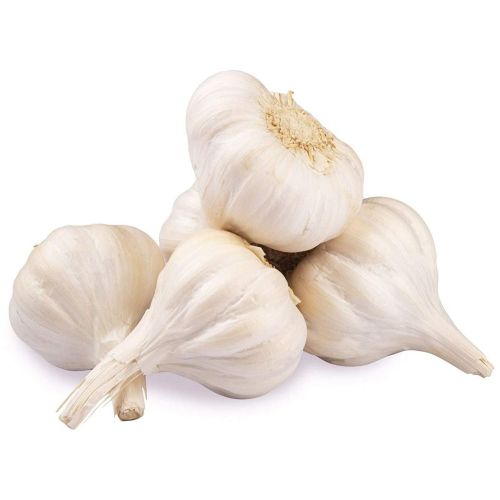 A Grade Fresh Garlic