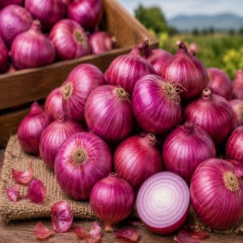 Fresh Red Onion