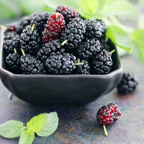 Organic Fresh Black Mulberry