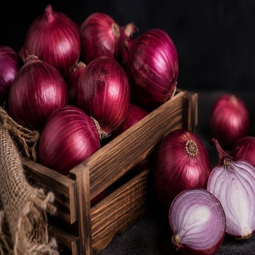 Premium Quality Fresh Red Onion