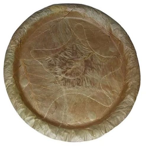 Disposable Single Layer Sal Leaf Plate