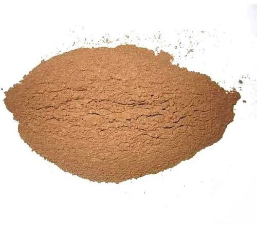 Ginger Garlic Onion Premix Powder