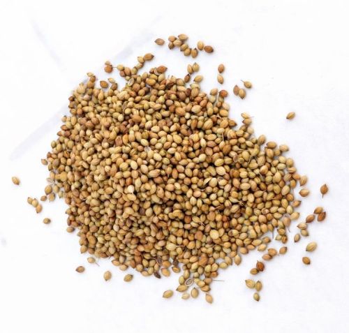 Eagle Coriander Seeds