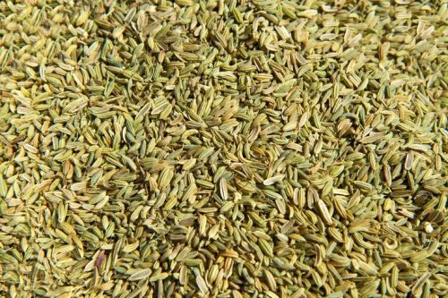 Green Fennel Seeds