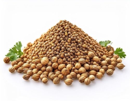 Scooter Coriander Seeds