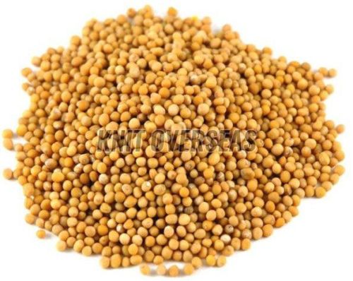Yellow Mustard Seeds
