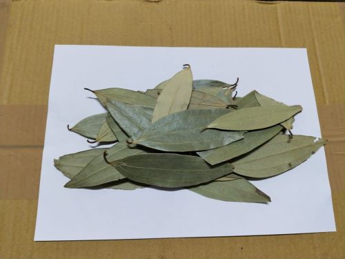 Bay Leaves