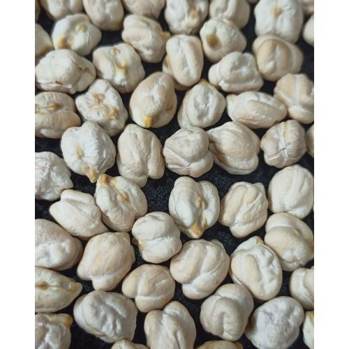 White Chickpeas