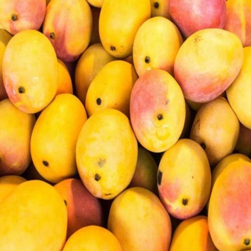 Fresh Raspuri Mango