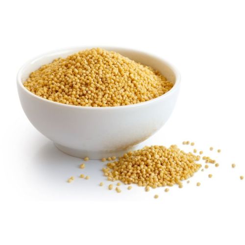 Foxtail Millet Seed