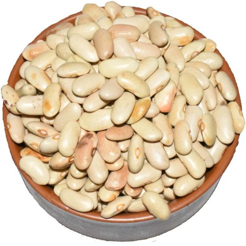 White Dry Field Beans