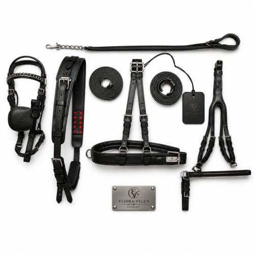 Noir Diplomat Premium Black Leather Horse Driving Harness