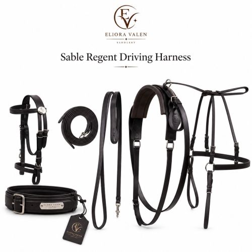 Sable Regent Premium Black Leather Horse Driving Harness