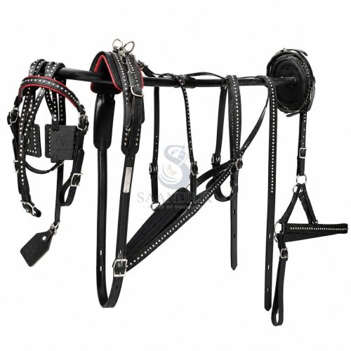 Noir Rivet Premium Black Leather Carriage Harness