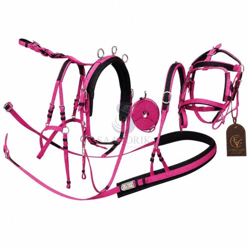 Roselle Bloom Pink and Black Nylon Harness Set
