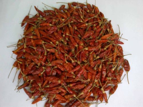 Bird Eye Dried Chilli