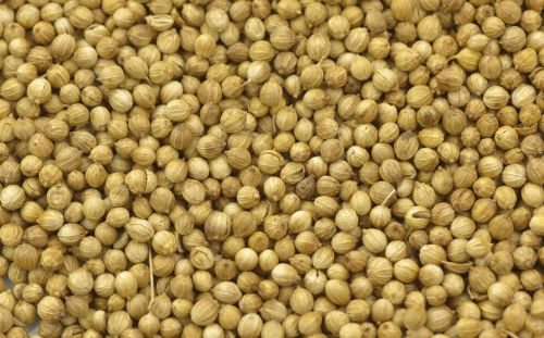 Coriander Seed