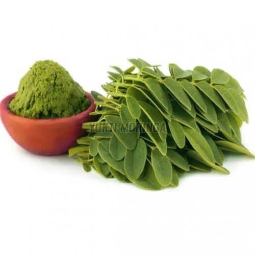 Organic Moringa Leaves Powder