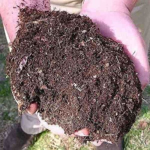Natural Vermicompost Fertilizer