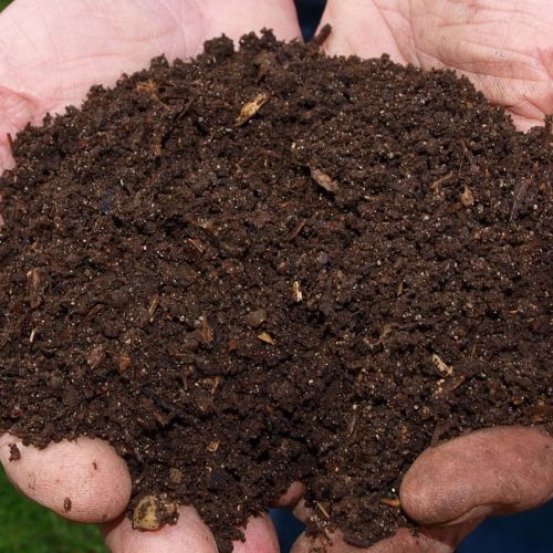 Organic Vermicompost Fertilizer