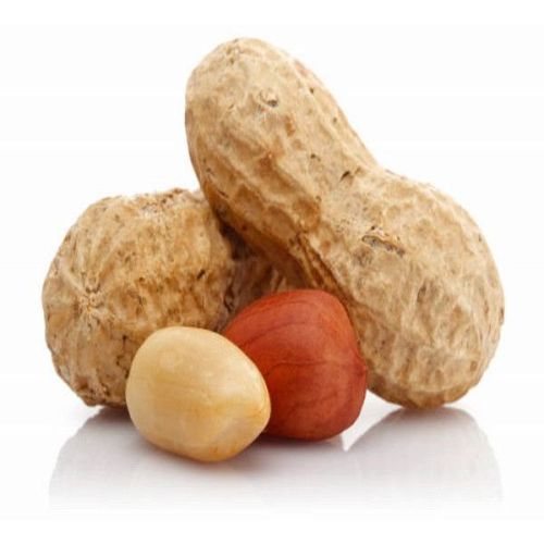 Raw Groundnut