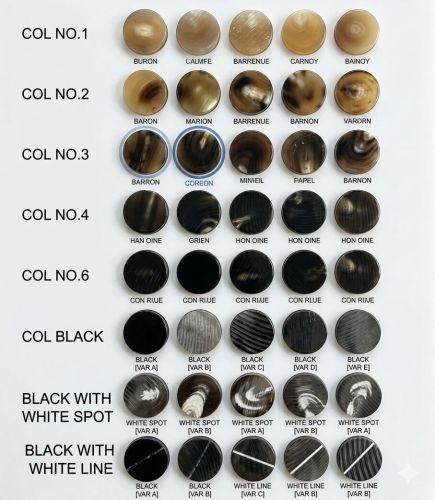 Buffalo Horn Button