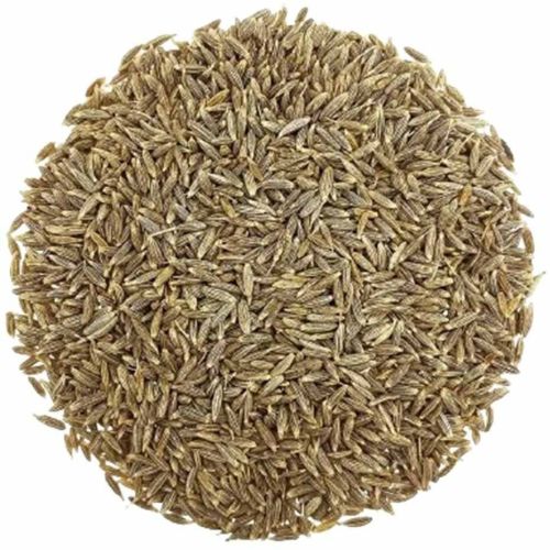 Gulf Quality Cumin Seed
