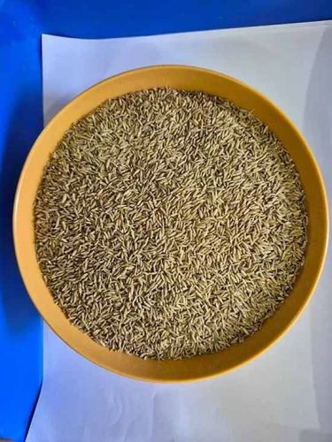 IPM Cumin Seed