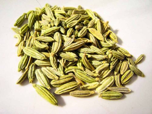 Singapore Quality Fennel Seed