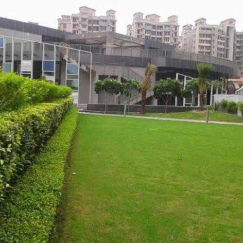 Garden Development Service