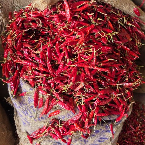 Dry Red Chilli