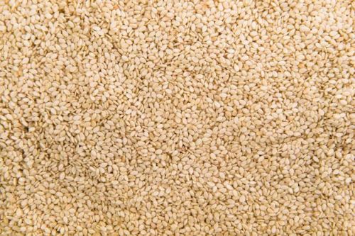 Fresh Quinoa Seeds