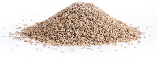 Raw Quinoa Seeds