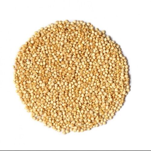 Whole Quinoa Seeds