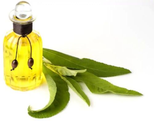 Camphor Oil