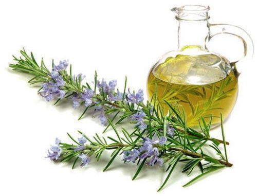 Rosemary Oil
