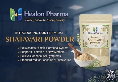 Shatavari Powder