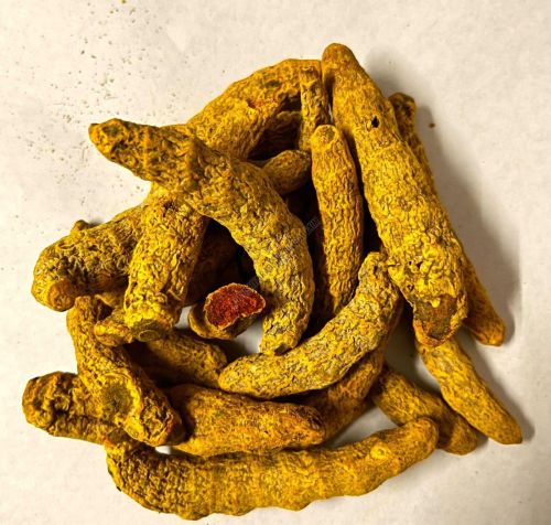 Waigaon Turmeric Finger