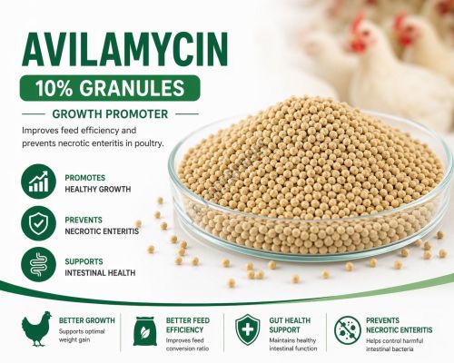 Avilamycin 10% Poultry Feed Growth Promoter