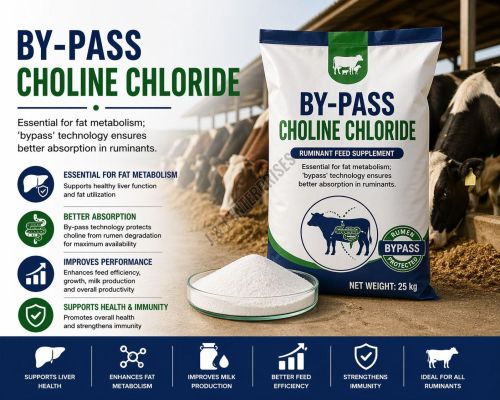 By-Pass Choline Chloride Ruminant Feed Supplement