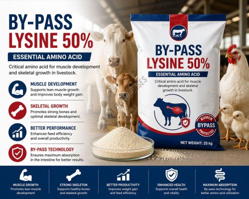 By-Pass Lysine 50% Essential Amino Acid Feed Supplement