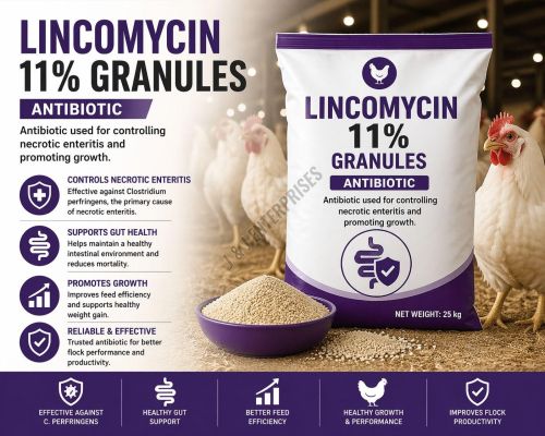 Lincomycin 11% Poultry Feed Antibiotic Supplement