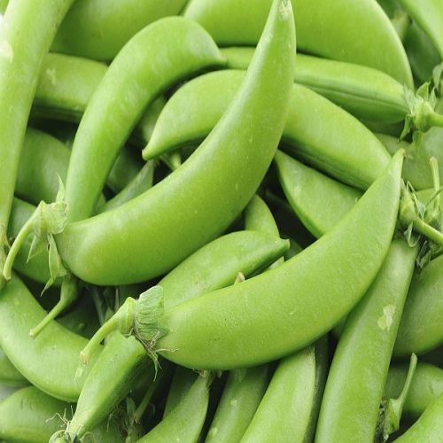 Fresh Peas