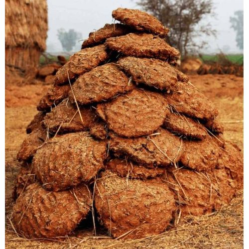 Dried Cow Dung Fuel Cake