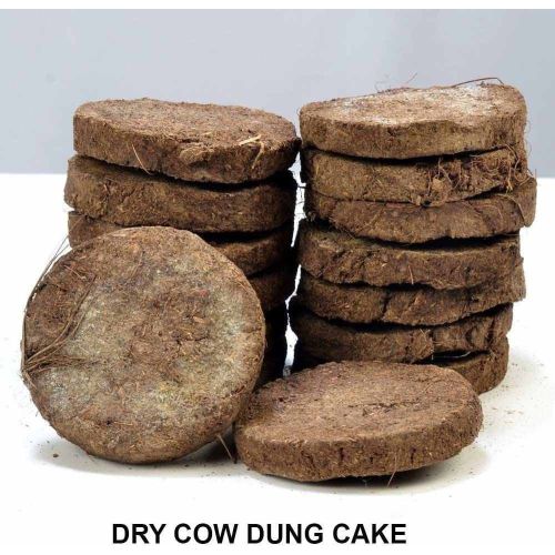 Dry Cow Dung Cake
