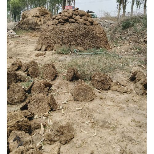 Handmade Cow Dung Cake