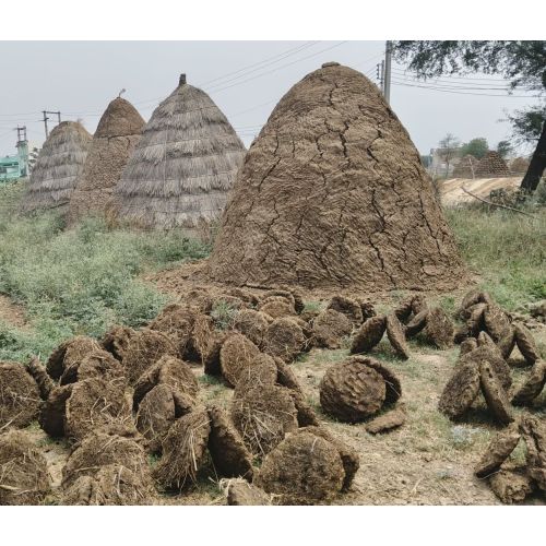 Natural Cow Dung Upla Cake