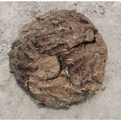 Cow Dung Cakes