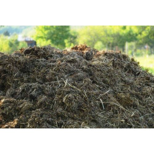 Organic Garden Cow Dung Manure