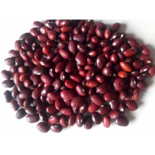 Red Kidney Bean